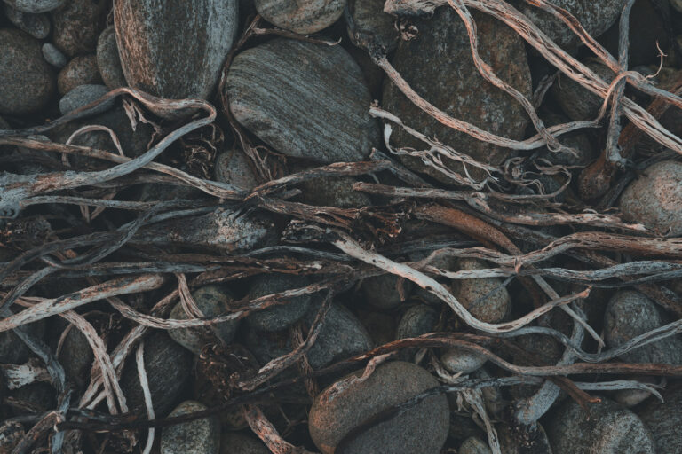 Structure & Movement II