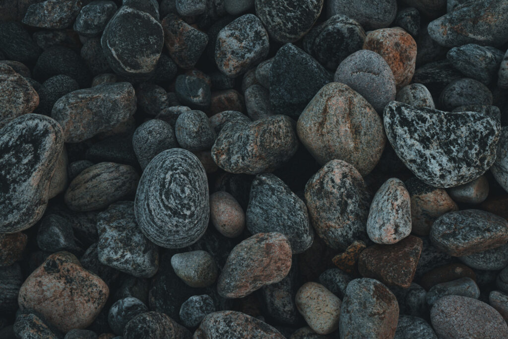 Structure & Movement I