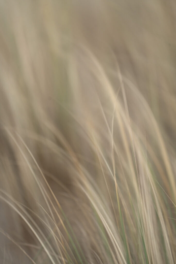 Structure & Movement III